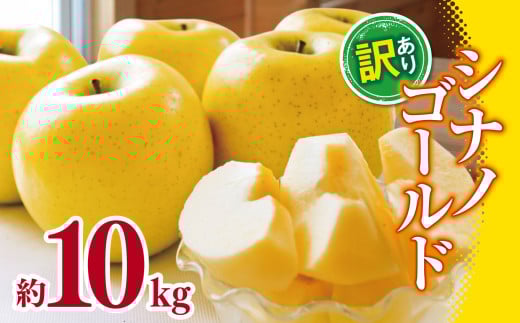 【2025年先行予約】 訳あり シナノゴールド 約10kg ｜  外川果樹園 リンゴ りんご 林檎 果物 フルーツ 果実 果汁 シナノゴールド 訳あり わけあり 長野県 松川村 信州