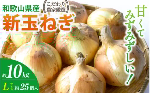 和歌山県産新玉ねぎ約10kg　Lサイズ 約25個入り　こだわり農家厳選！【2026年4月末頃～6月中旬に発送予定】人気 おすすめ たまねぎ 玉ねぎ 玉葱 タマネギ オニオン スープ サラダ 国産 野菜 新鮮 ビッグサイズ 大きい BBQ【BK-kgr033】