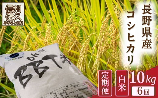 【令和7年産・白米10kg×6カ月定期便】特別栽培米　BBT米（五郎兵衛米）〈2025年9月中旬頃～順次発送〉 先行予約　新米　信州　こしひかり【 長野県 佐久市 】 1409347 - 長野県佐久市