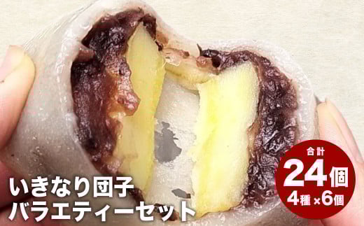 熊本上天草 にのやのいきなり団子バラエティーセット 4種×各6個 合計24個 いきなりだんご いきなり団子 だんご 団子 餡子 スイーツ お菓子 和菓子 おやつ デザート 冷凍 熊本県 上天草市