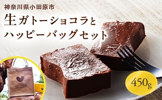 極上の口溶けと濃厚な味わいの生ガトーショコラ(450g)とハッピーバックのセット【チョコレート 特濃厚 濃密な味わい 極上の口溶け 極上のチョコレート 一流の料理人 カカオの風味やコク カカオ 至極の逸品 神奈川県 小田原市 】