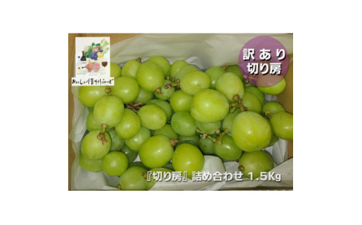 訳あり 信州産＜新鮮朝採り＞シャインマスカット 切り房 1.5kg以上 2025年9月中旬～発送予定【1625534】