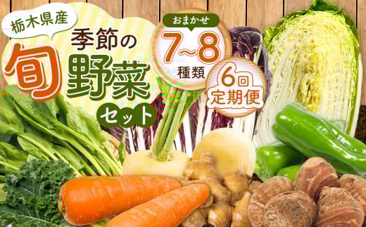 【定期便6回】季節の旬野菜おまかせセット 7～8品目 | 定期便 農薬不使用 化学肥料不使用 珍しい 栃木県 特産品