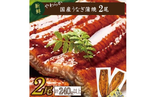 やわらか国内産うなぎ蒲焼満足サイズ！120～140g 2尾　計240g以上|うなぎ 鰻 蒲焼 満足 茨城県 行方市(AD-85-1) 373247 - 茨城県行方市