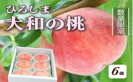 【先行予約】部谷桃園 ひろしま大和の桃 6個セット 果物 フルーツ デザート 食後 旬の桃 旬の果物 旬のフルーツ 新鮮 夏 夏の果物 067001