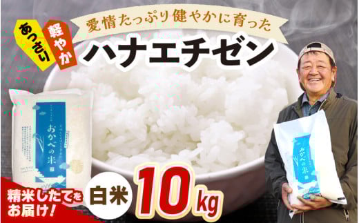 【先行予約】令和7年産 愛情たっぷり健やかに育った ツヤツヤ ハナエチゼン（白米）10kg【2025年9月上旬以降順次発送予定】 [m29-a021]