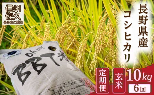 【令和7年産・玄米10kg×6カ月定期便】特別栽培米　BBT米（五郎兵衛米）〈2025年9月中旬頃～順次発送〉 先行予約　新米　信州　こしひかり【 長野県 佐久市 】 1409355 - 長野県佐久市