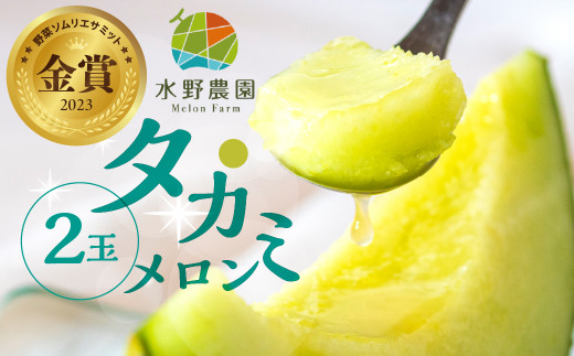 水野農園産タカミメロン 2玉