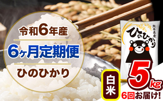 【6ヶ月定期便】令和6年産  定期便 ひのひかり 5kg 《申込み翌月から発送》令和6年産 熊本県産 ふるさと納税 白米 精米 ひの 米 こめ ふるさとのうぜい ヒノヒカリ コメ 熊本米 ひのもり