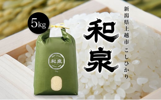 【先行予約　10月中旬より順次出荷】令和7年産　上越産こしひかり『和泉』5kg 上越市 精米 米 ギフト 喜ばれる