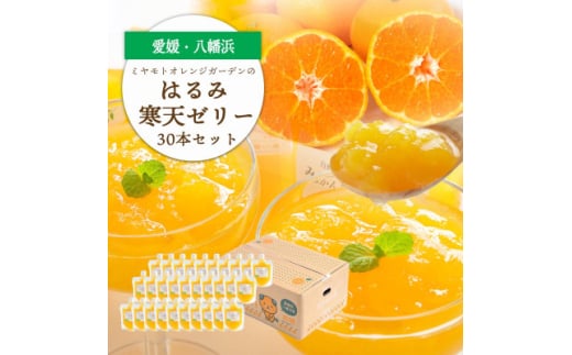 ゲル化剤・pH調整剤不使用!愛媛産 はるみ寒天ゼリー 30本セット＜H25-233＞【1629990】