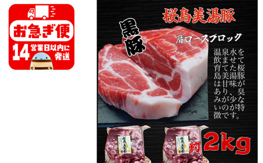 鹿児島県産 黒豚 桜島美湯豚 肩ロース ブロック 2kg (2分割)
