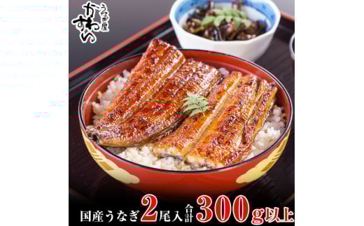 国産うなぎ蒲焼き大サイズ２本セット(A24
