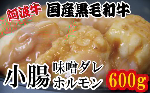ホルモン 小腸 阿波牛 味噌漬け 200g×3パック 小分け 計600g 国産 牛 黒毛和牛 鍋 焼肉 脂 焼き ホソ もつ 肉 牛肉 BBQ [北海道・東北・沖縄・離島への配送不可]
