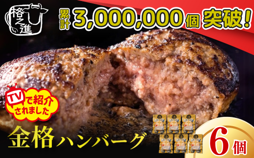 【累計申込3.1万件突破！】格之進 金格 