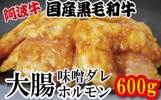 ホルモン 大腸 阿波牛 味噌漬け 200g×3パック 小分け 計600g 国産 牛 黒毛和牛 鍋 焼肉 脂 焼き シマチョウ もつ 肉 牛肉 BBQ [北海道・東北・沖縄・離島への配送不可]