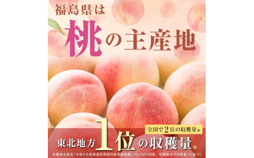 桃 果物 山梨県 2ケース まさ 桃 果物 山梨県 2ケース まさ 桃 果物 山梨県 2ケース まさ様 専用
