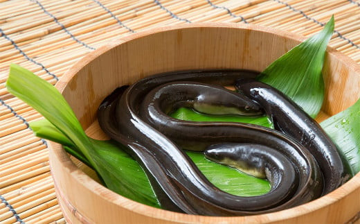 【4ヶ月定期便】創業300年 うなぎ料理専門店 元祖本吉屋 特製国産うなぎの丼ぶり(2人前)