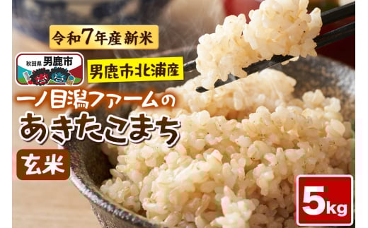 ＜令和7年産新米受付＞「秋田県男鹿市北浦産」あきたこまち（玄米）5kg