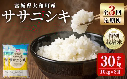 【令和7年産】＜3か月定期便＞特別栽培米 ササニシキ 10kg×3回(合計30kg) お米 おこめ 米 コメ 白米 ご飯 ごはん おにぎり お弁当 頒布会【農事組合法人若木の里】ta544 691817 - 宮城県大和町