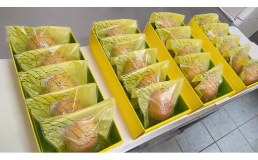 ケーキ工房菜の花 純朴レモンケーキ　（5個入）