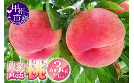 農家直送 桃 約3kg 7～11玉【2025年発送】（YKI）B15-990【桃 もも モモ 令和7年発送 期間限定 山梨県産 甲州市 フルーツ 果物】