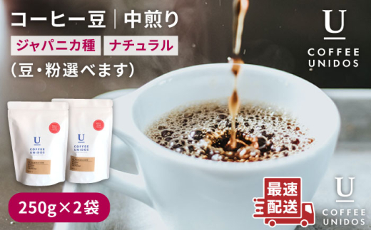 【豆】中煎り コーヒー 豆 250g × 2袋 （ 豆 ・ 粉 選べます ） ニカラグア産 エルポルベニール農園 ジャバニカ種 ナチュラル 《糸島》 【COFFEE UNIDOS】 [AQF005-1] 570666 - 福岡県糸島市