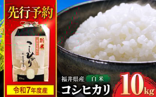 【 先行予約 /9月中旬以降発送】　【令和7年産】 福井県産 コシヒカリ 白米 10kg / 米 お米 精米 国産米 / 小浜市 / 北川博司 [BFDG001]
