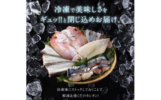 [セット][丸福水産]魚介/元漁師が手掛ける干物 玄界灘の干物6種盛り(イカの一夜干し、アジの開き、アジのみりん干し、かますの開き、さばの開き、連子鯛の開き、各1袋)
