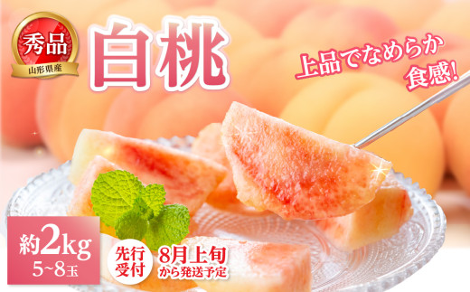 《先行受付》★白桃（品種おまかせ）★ 約2kg(5～8玉) 秀品 【2025年8月上旬頃～発送予定】 【063-001】