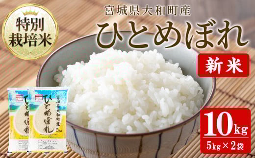 【令和7年産 新米】特別栽培米 ひとめぼれ 10kg お米 おこめ 米 コメ 白米 ご飯 ごはん おにぎり お弁当【農事組合法人若木の里】ta531 691412 - 宮城県大和町