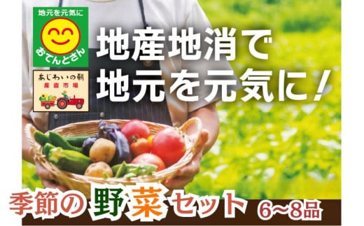 お任せ野菜セット（8品～12品）  / 野菜 やさい セット 詰め合わせ 旬 新鮮 産地直送 朝採れ