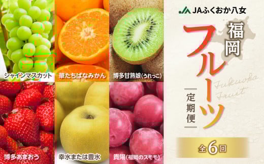 福岡フルーツ定期便【全6回】盛りだくさん果物お届け定期便　JAふくおか八女からお届け！！ 梨 豊水 幸水 シャインマスカット みかん ミカン あまおう いちご 苺 イチゴ 貴陽 すもも キウイ フルーツ 果物 くだもの 人気 旬 高糖度 甘い 福岡県産 アフター補償 数量限定 期間限定 産地直送 全6回 定期便 福岡県 八女市 766680 - 福岡県八女市