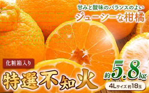 ＜先行予約＞特選 不知火 ( デコポン )と同品種 約5.8kg（4Lサイズ18玉） 長岡農園《2026年2月中旬-4月上旬頃出荷》和歌山県 日高川町 果物 フルーツ 柑橘 不知火 しらぬい デコポン と同品種 約5.8kg 送料無料