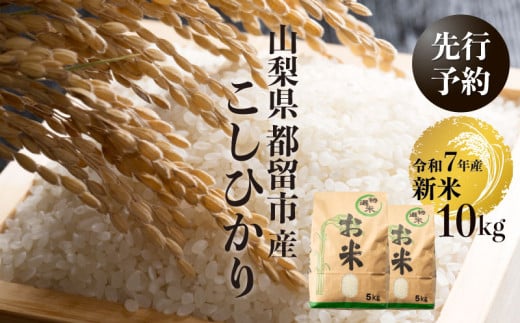 【令和７年産新米・予約】山梨県都留市産こしひかり[10kg]