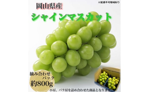 ぶどう 2025年 先行予約 【平均糖度20度】農家こだわりの シャインマスカット ご家庭用パック 合計約800g ブドウ 葡萄 岡山県産 国産 フルーツ 果物 ギフト 【 Nini farm 農家 直送 】