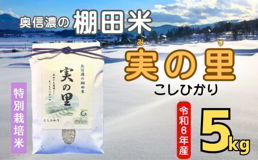 【令和6年産】 こしひかり 『奥信濃の棚田米 実の里』 5kg (6-59C)