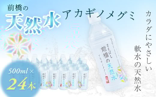 水 ミネラルウォーター 500ml 24本×1箱 24本 合計12L | 飲料水 みず ナチュラル ミネラルウォーター 天然水 軟水 長期保存 備蓄 防災  水 ミネラルウォーター ペットボトル 長期保存水 備蓄水 備蓄用 非常災害備蓄用 災害用 避難用品 防災グッズ 国産 群馬県 前橋市