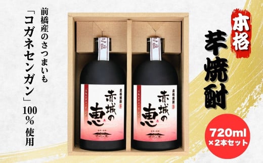 赤城の恵 芋焼酎25°  2本セット(720mlボトル×2本) | 酒 お酒 アルコール 焼酎 芋焼酎 赤城の恵 群馬焼酎 本格焼酎 国産焼酎 焼酎セット 地酒 前橋産 黄金千貫 さつまいも 焼酎ギフト 還暦祝い 家飲み お湯割り ロック お取り寄せ 群馬県 前橋市