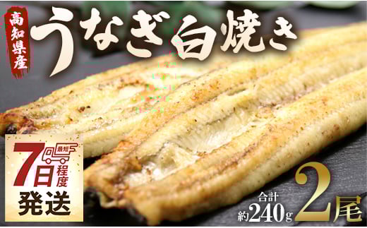 うなぎ白焼 国産 鰻 2尾✕120g セット うなぎ屋きた本 (無頭) un-0017