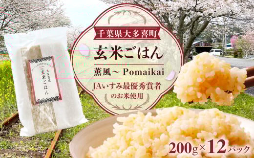 玄米ごはん２００g×１２　ふるさと納税 米 こめ コメ ごはん ご飯 コシヒカリ 玄米 200g 6パック セット 2箱 計12個 長期保存 常温 無添加 お弁当キャンプ備蓄 千葉県 大多喜町 KP02501