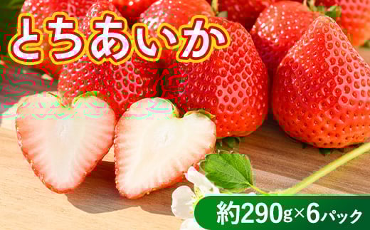 いちご（とちあいか） 290g×6パック 1.74kg以上｜先行予約 数量限定 栃木県 果物 くだもの フルーツ 苺 イチゴ ※2025年11月下旬～2026年3月下旬頃に順次発送予定