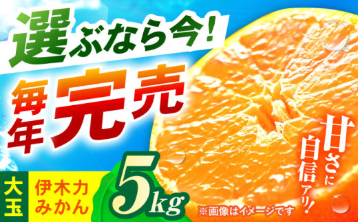 ※【2025年11月発送分／先行予約】伊木力みかん (大玉)5kg / みかん ミカン 蜜柑 柑橘 フルーツ ふるーつ 果物 くだもの / 諫早市 / 山野果樹園 [AHCF007] 2012044 - 長崎県諫早市