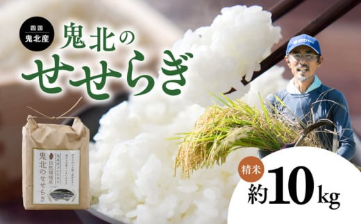 【先行予約】【R7年産】【環境保全米】鬼北町のせせらぎ 10kg（コシヒカリ） ｜ お米 お米不足 お米品薄 おいしい お米 事業者支援 送料無料 白米 精米 国産 限定 ごはん ご飯 白飯 ゴハン 愛媛県産 鬼北町 ※2025年9月上旬より順次発送予定 ※離島への配送不可