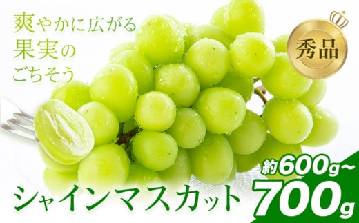 シャインマスカット 秀品 約600g-700g(1~2房) 日本フルーツ《6月下旬-8月末頃出荷》熊本県 荒尾市 ぶどう ブドウ 果物 フルーツ スイーツ デザート ギフト ご贈答 2148224 - 熊本県荒尾市