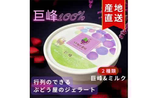 福岡県　巨峰100%と巨峰とミルクのミックスジェラート(各80ml3個　合計6個セット)(大牟田市)【1625457】 2145890 - 福岡県大牟田市