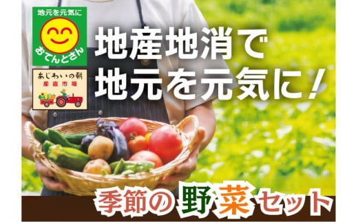 旬の野菜詰合せセット(2)10品～15品 / 野菜 やさい セット 詰め合わせ 旬 新鮮 産地直送 朝採れ