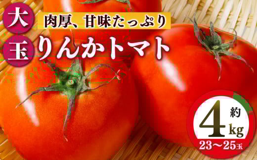 トマト約4kg 23玉~25玉 | ヤサイ 野菜 やさい トマト とまと 野菜 奈良県 五條市 861844 - 奈良県五條市
