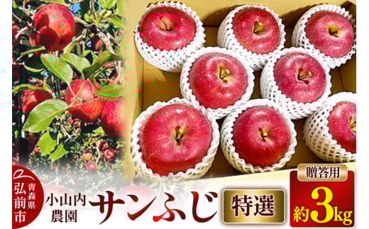 りんご 小山内農園【特選】サンふじ 贈答用 約3kg【弘前市産 青森りんご 果物 フルーツ デザート 食後 青森県産 産地直送 贈り物】 685877 - 青森県弘前市