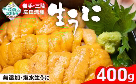 【発送開始！】【個数限定】 生うに 400g (200g×2パック) 塩水パック 獲れたその日に出荷！ 【 ムラサキウニ 無添加 濃厚 天然 ミョウバン不使用 数量限定 三陸産 】 RT1481